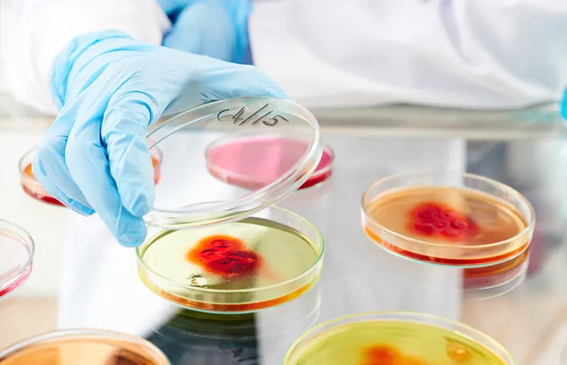 these low-cost, reliable pipeyye pumps are used primarily in 5 settings biological research