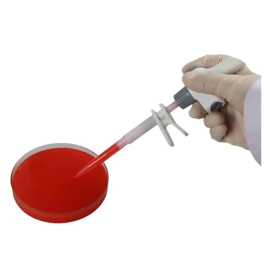 762000019999 (4).webp